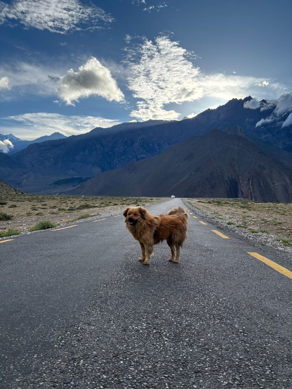 Mountains on the road